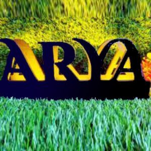 custom led name wooden cut out frame – 12 inch